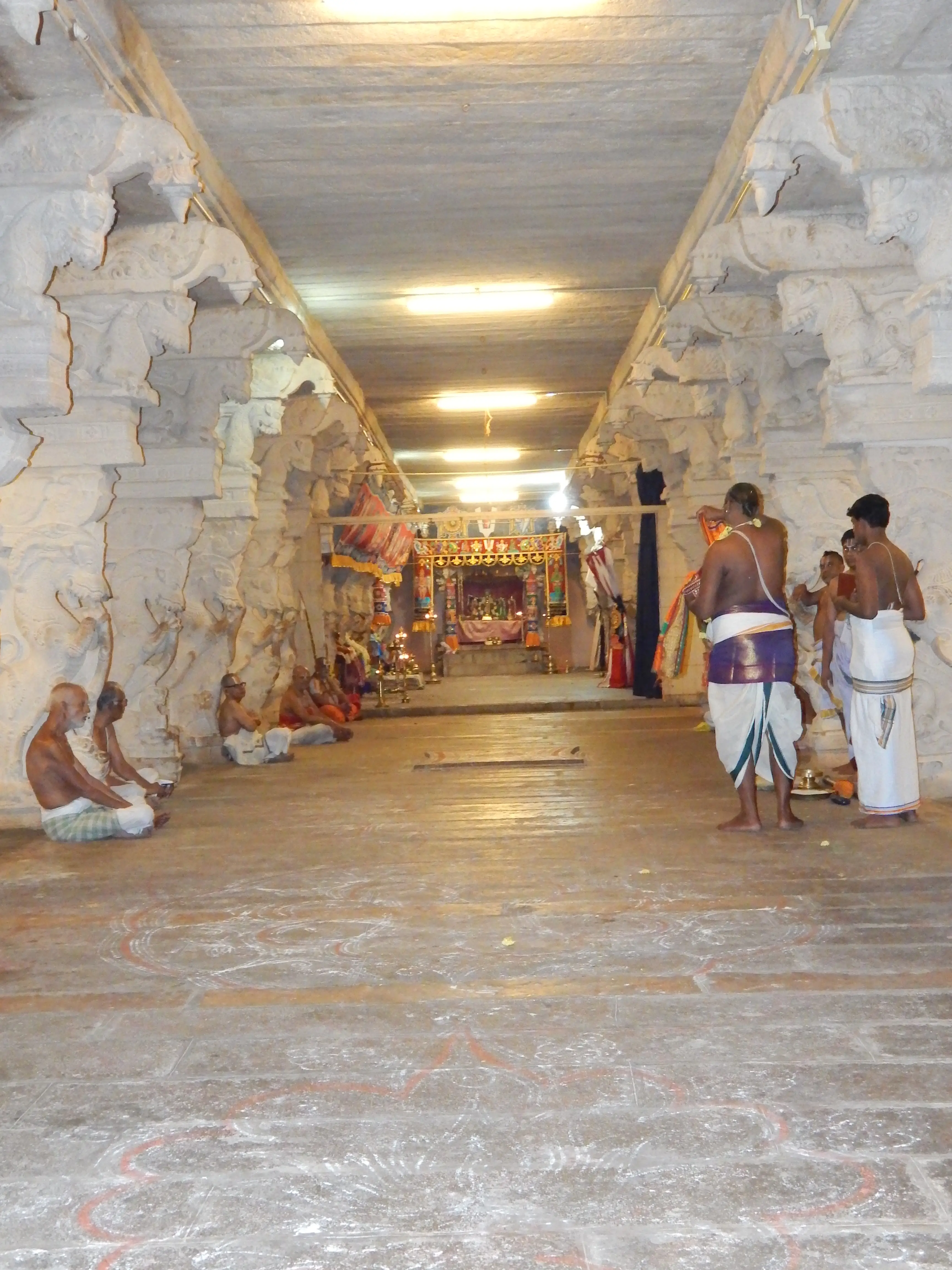 Rows of Śrīvaiṣṇava men gather to recite the Nālāyira Divya Prabandham at the Pakal Pattu Maṇṭapam, Ādi Nātha Perumāḷ Temple, Alvar Tirunagari, Dec 20, 2015. Photograph, Archana Venkatesan.